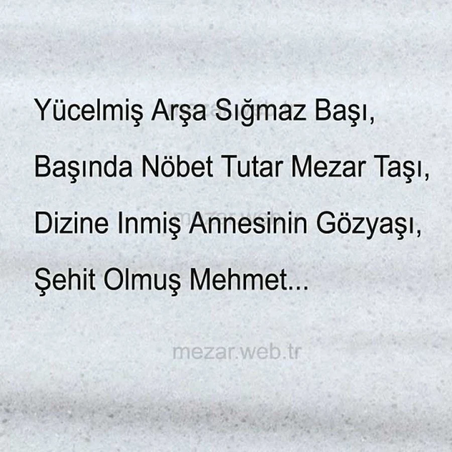 Arşa Sığmaz