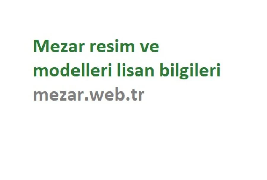 Model Fotoğraflarını Yorumlama ve Bilgi Talebi